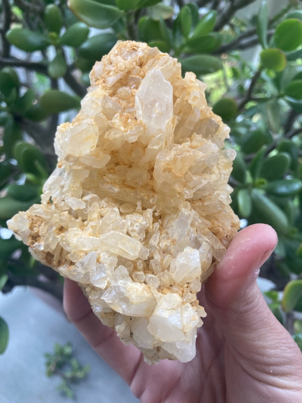 Yellow-tinged Quartz Crystal Cluster